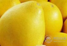 夏天怎樣吃姜對身體好?