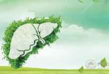 春季養(yǎng)生，重在調(diào)肝健脾固表