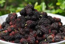 男人春季腎虛,沒關系,三種水果恢復戰斗力