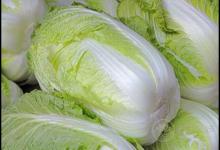 冬天到，常吃3種青菜，好吃營養，全家人都愛