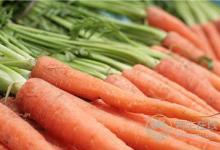 貼秋膘,又到吃羊肉好時節(jié)!燉涮炒烤各有功效