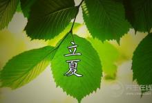 立夏養(yǎng)生：晚睡+早起+午休更健康