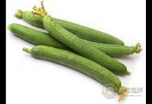 夏季保濕敗火，中醫教你絲瓜怎么吃