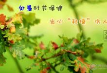 處暑吃什么食物 應(yīng)該如何養(yǎng)生