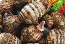 秋季養生吃什么比較好?