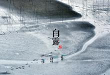 2018白露時間_白露是什么時候_吃什么養生_白露習俗