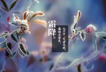 2018年立冬是哪一天?立冬怎么養生?