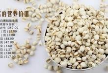 夏季會吃薏仁更養生,推薦幾種健康吃法