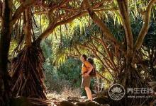 白露前后蛇出沒(méi)，如何預(yù)防被蛇咬