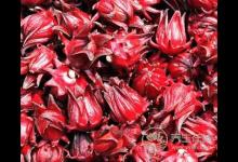 春季健康養生！排毒養肝適合喝這2杯