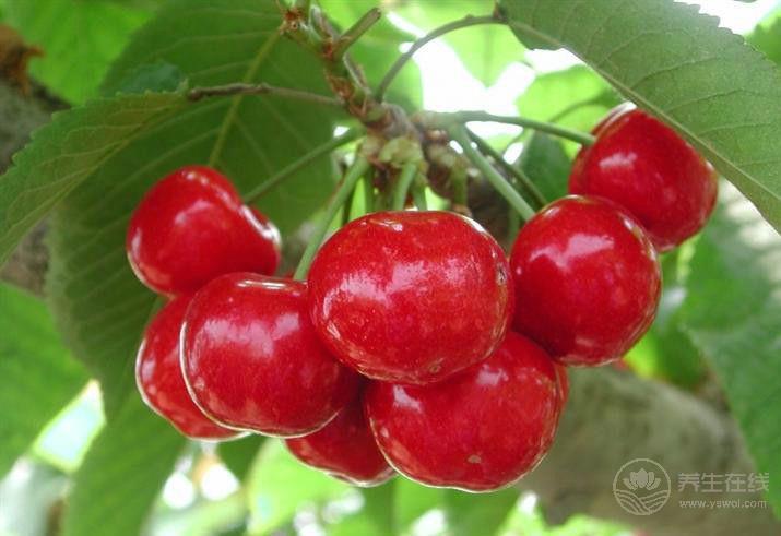 春季養生吃什么好呢?常吃這四樣,養生又健康 春季養生吃什么好呢?常吃這四樣,養生又健康