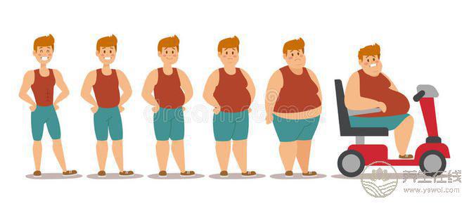 肥胖人群警惕夏日肥胖病