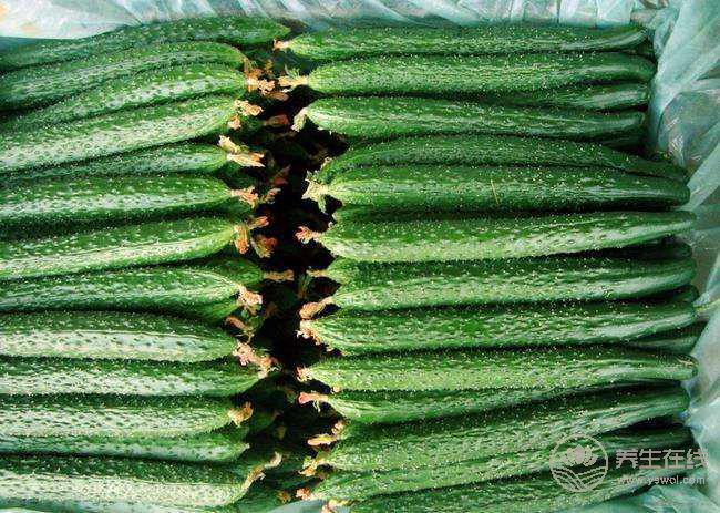 五種蔬菜最適合夏季涼拌