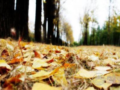 夏不防暑,秋易高燒