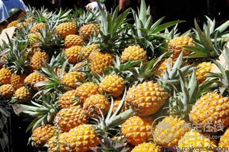 春季咳嗽適合吃什么水果?