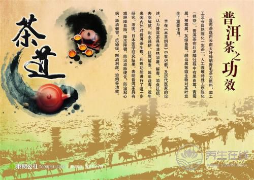 四季養生之秋季的滋補養生之道 四季養生之秋季的滋補養生之道