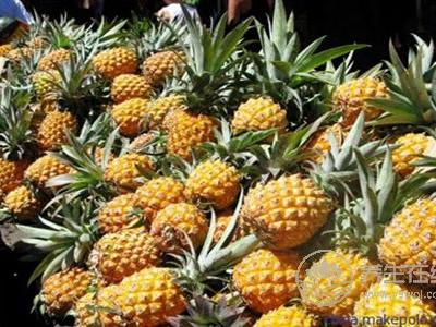 春季咳嗽適合吃什么水果?