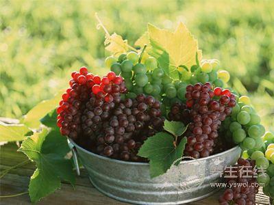 秋天吃葡萄營養(yǎng)價(jià)值高