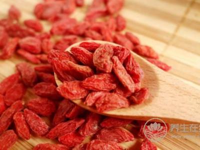 枸杞益壽吃法有講究 潤肺養肝可防秋燥