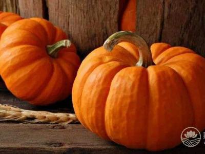 氣虛,秋天該如何吃?