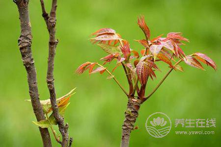 谷雨節氣我們該注意什么事項呢?