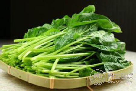 谷雨節(jié)氣適合吃哪些食物? 谷雨節(jié)氣適合吃哪些食物?