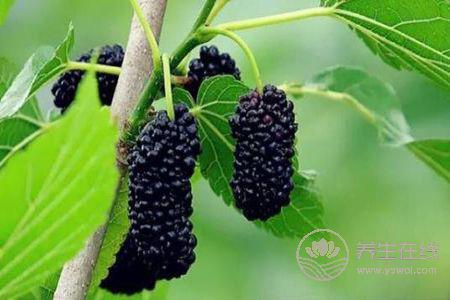 谷雨時節吃哪些水果好呢?