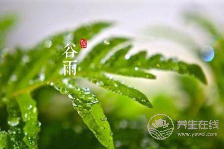 什么是谷雨節(jié)氣? 什么是谷雨節(jié)氣?