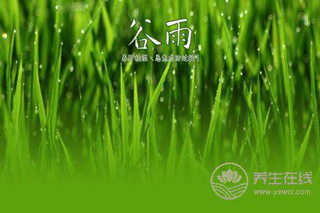 2019年谷雨是哪天? 2019年谷雨是哪天?