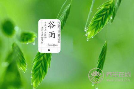 2019年谷雨是幾月幾號? 2019年谷雨是幾月幾號?