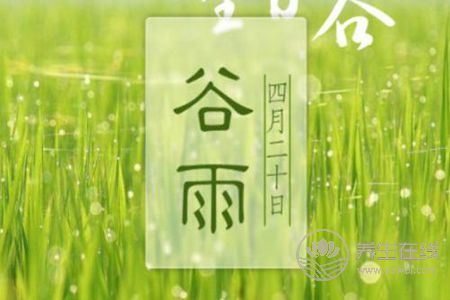 2019年谷雨是哪天? 2019年谷雨是哪天?