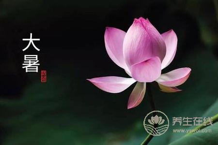 大暑預(yù)防哪些疾病發(fā)生?-易網(wǎng)健康養(yǎng)生網(wǎng) 大暑預(yù)防哪些疾病發(fā)生?