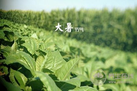 大暑預(yù)防哪些疾病發(fā)生?-易網(wǎng)<a href=http://www.xllyou.com/ target=_blank class=infotextkey>健康養(yǎng)生</a>網(wǎng) 大暑預(yù)防哪些疾病發(fā)生?