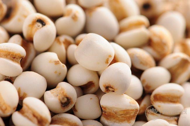 芒種節氣養生: 飲食宜清補 宜吃八寶