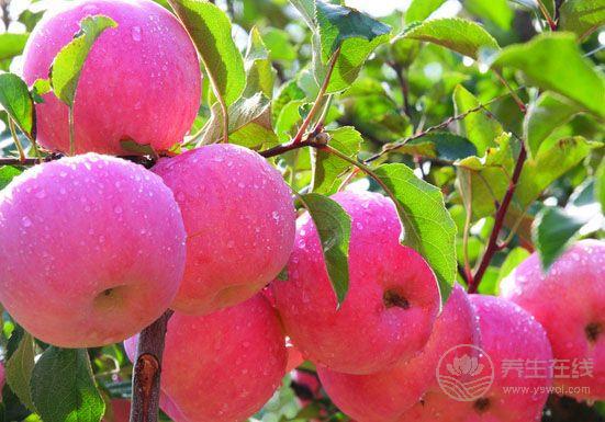 立秋節(jié)氣飲食 宜清肺忌生冷-易網(wǎng)健康養(yǎng)生網(wǎng) 立秋節(jié)氣飲食 宜清肺忌生冷