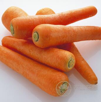 秋分節(jié)氣養(yǎng)生必吃10種蔬菜 滋補潤燥-易網(wǎng)健康養(yǎng)生網(wǎng) 秋分節(jié)氣養(yǎng)生必吃10種蔬菜 滋補潤燥