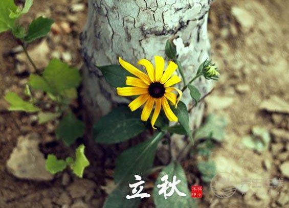 立秋節(jié)氣飲食 宜清肺忌生冷-易網(wǎng)健康<a href=http://www.xllyou.com/jkys/ target=_blank class=infotextkey>養(yǎng)生</a>網(wǎng) 立秋節(jié)氣飲食 宜清肺忌生冷