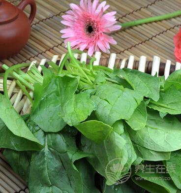 秋分節(jié)氣養(yǎng)生必吃10種蔬菜 滋補潤燥-易網(wǎng)健康養(yǎng)生網(wǎng) 秋分節(jié)氣養(yǎng)生必吃10種蔬菜 滋補潤燥