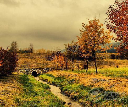 白露節氣衣食住行指南 腎氣不足及時添衣