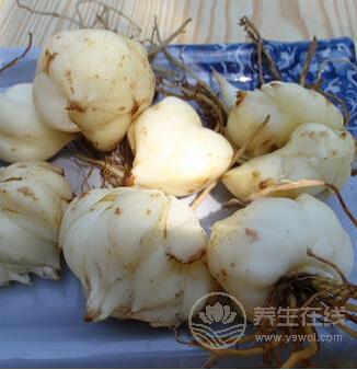 秋分節(jié)氣養(yǎng)生必吃10種蔬菜 滋補潤燥-易網(wǎng)健康養(yǎng)生網(wǎng) 秋分節(jié)氣養(yǎng)生必吃10種蔬菜 滋補潤燥