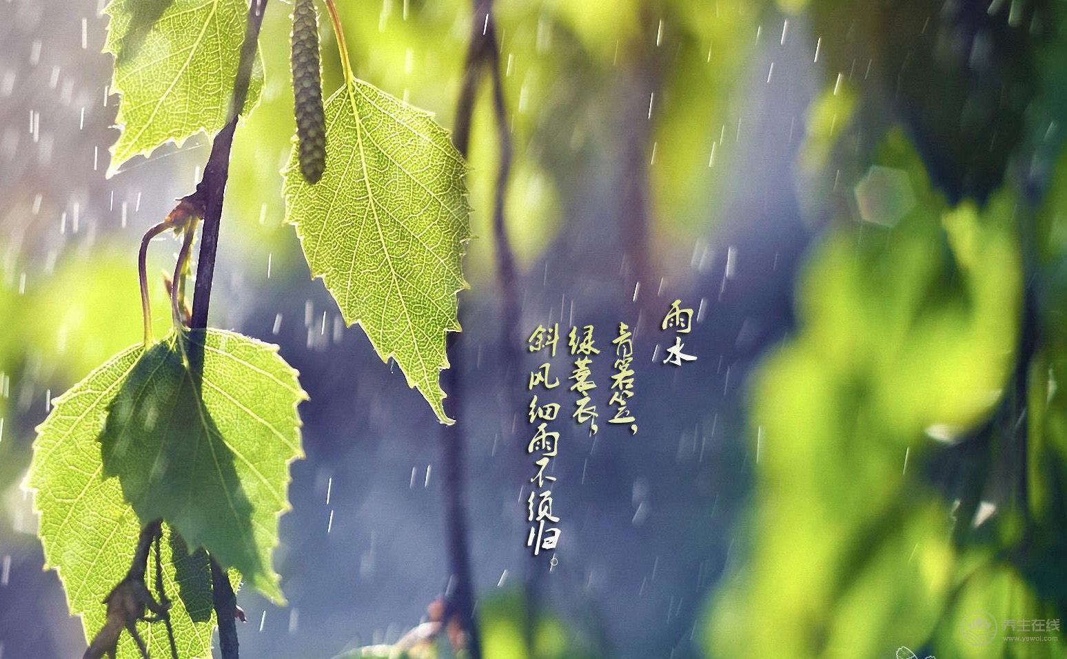 雨水節(jié)氣吃這七道菜最養(yǎng)生