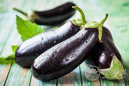 大暑吃什么清熱解暑?大暑吃哪些清涼食物好?