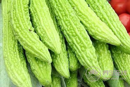 大暑有哪些飲食原則?大暑適合吃哪些食物?