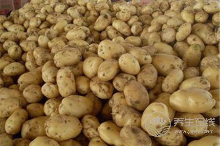 大暑如何保濕祛斑?大暑節氣如何養生?