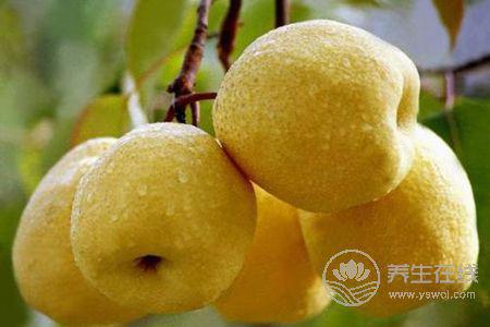 大暑吃哪些水果下火?大暑吃哪些水果好?