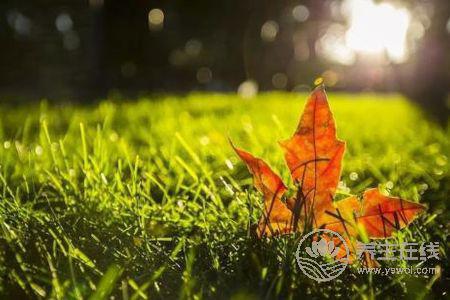 2019年立秋幾點幾分?立秋有哪些節(jié)氣習(xí)俗?