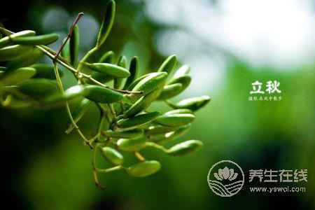 2019年立秋幾點幾分?立秋有哪些節(jié)氣習(xí)俗?