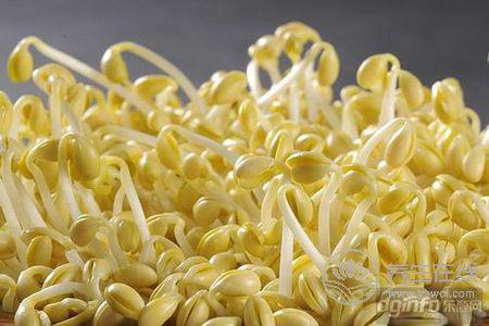 立秋吃什么好?立秋養生食療粥有哪些?