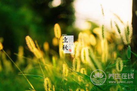 立秋節(jié)氣吃什么?立秋短信祝福語(yǔ)有哪些?-易網(wǎng)健康養(yǎng)生網(wǎng) 立秋節(jié)氣吃什么?立秋短信祝福語(yǔ)有哪些?