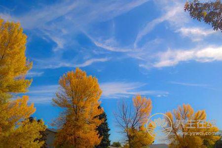 立秋后天氣還要熱多久?